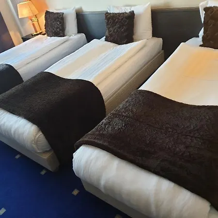 Parkhotel Airport 3*